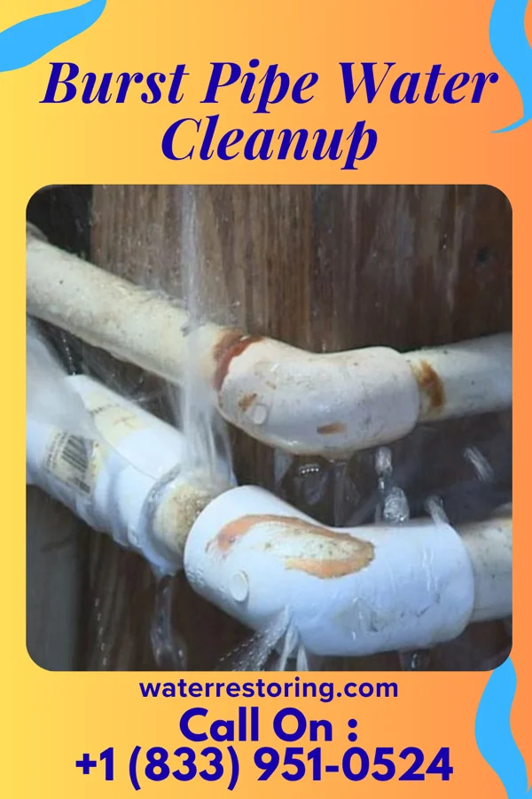 Burst Pipe Water Cleanup in San Pedro, NM