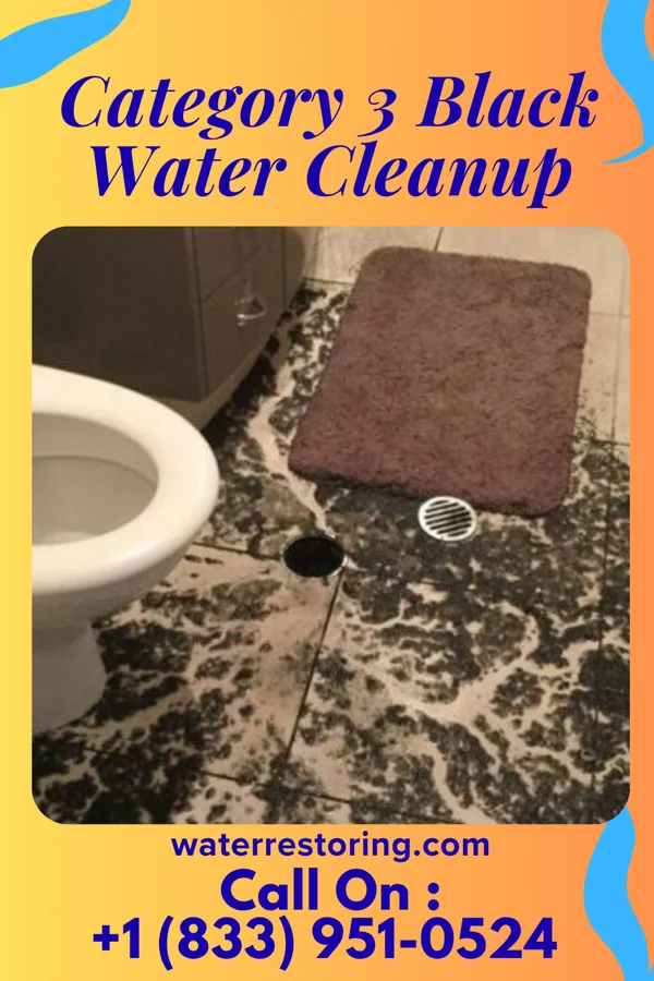 Category 3 Black Water Cleanup in San Pedro, NM