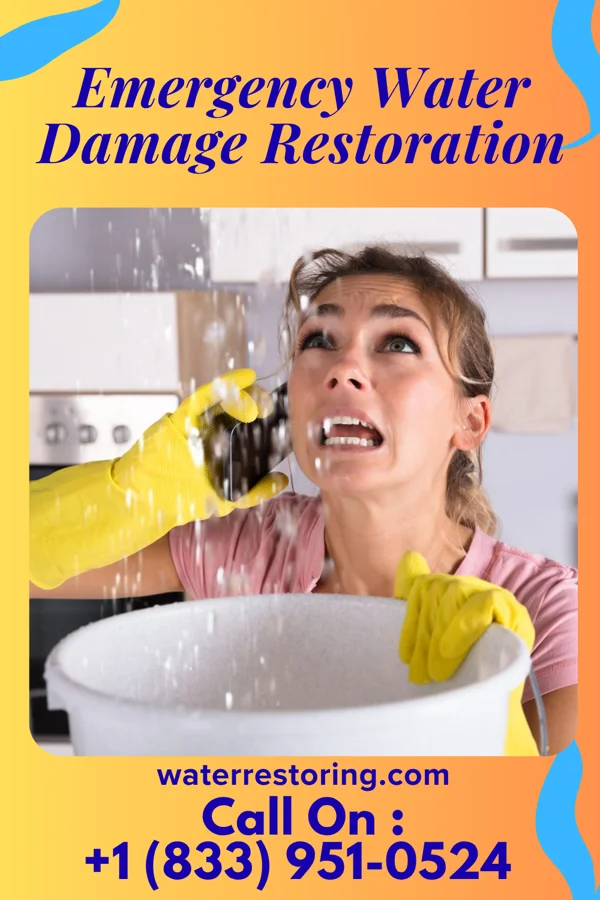 Emergency Water Damage Restoration in San Pedro, NM