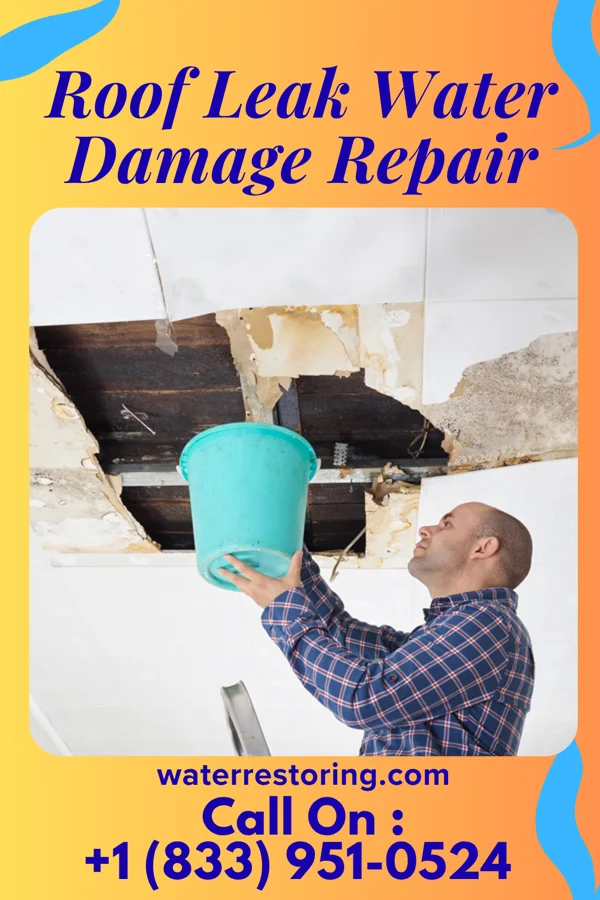 Roof Leak Water Damage Repair in San Pedro, NM