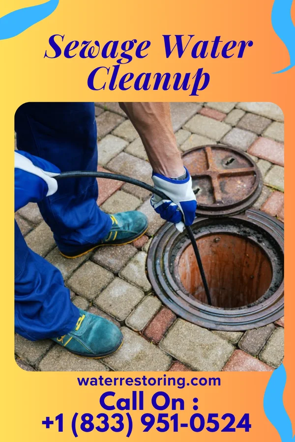 Sewage Water Cleanup in San Pedro, NM